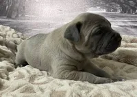 processed/e42e2817-1d5c-4bc9-b6e3-f4277654427c/listing/72b33997-959f-41e0-a05c-850cfac16fef/470e46ea-322e-409c-bab9-2b242dd72d9d