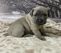 processed/e42e2817-1d5c-4bc9-b6e3-f4277654427c/listing/72b33997-959f-41e0-a05c-850cfac16fef/792a9a32-44e8-4e20-9477-4486d584340b