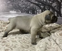 processed/e42e2817-1d5c-4bc9-b6e3-f4277654427c/listing/72b33997-959f-41e0-a05c-850cfac16fef/ce5dc7fe-82e5-4944-8196-7b801256616c