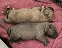 processed/e42e2817-1d5c-4bc9-b6e3-f4277654427c/listing/72b33997-959f-41e0-a05c-850cfac16fef/e20a0a89-8e40-44e1-9228-4288f0859c0a