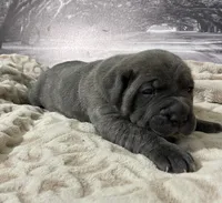 processed/e42e2817-1d5c-4bc9-b6e3-f4277654427c/listing/7e0af062-ce7c-4d6a-a51d-97ef83752be2/29b698bf-056b-487f-8e37-ca9d4f65acd9