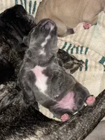 processed/e42e2817-1d5c-4bc9-b6e3-f4277654427c/listing/7e0af062-ce7c-4d6a-a51d-97ef83752be2/58552982-b0f0-42cf-b6e3-6458c636b941