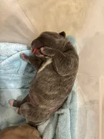 processed/e42e2817-1d5c-4bc9-b6e3-f4277654427c/listing/7e0af062-ce7c-4d6a-a51d-97ef83752be2/5edcff60-d151-4383-9006-b72bf9fb05be