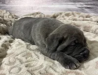 processed/e42e2817-1d5c-4bc9-b6e3-f4277654427c/listing/7e0af062-ce7c-4d6a-a51d-97ef83752be2/81461009-792f-47a3-9e8c-a4969ebc9ab5