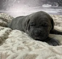 processed/e42e2817-1d5c-4bc9-b6e3-f4277654427c/listing/7e0af062-ce7c-4d6a-a51d-97ef83752be2/f10fa334-0759-412b-ac34-372a6d2f3f1c