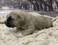 processed/e42e2817-1d5c-4bc9-b6e3-f4277654427c/listing/859a0719-f5ee-4796-aecc-3c1a860dd6c7/2cdb02e0-ca59-4398-97f4-94bbf0bd7303