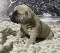 processed/e42e2817-1d5c-4bc9-b6e3-f4277654427c/listing/859a0719-f5ee-4796-aecc-3c1a860dd6c7/75fd44eb-9ad2-4cde-bc58-2a773e4bf15a