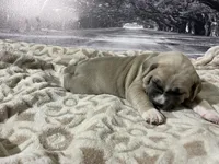 processed/e42e2817-1d5c-4bc9-b6e3-f4277654427c/listing/859a0719-f5ee-4796-aecc-3c1a860dd6c7/dd1e0a02-3e39-4302-b610-5e0d1e4de2c6