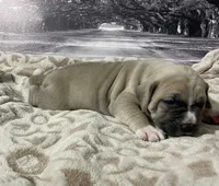 processed/e42e2817-1d5c-4bc9-b6e3-f4277654427c/listing/859a0719-f5ee-4796-aecc-3c1a860dd6c7/e8e5459e-b1db-410f-a584-a9f7d158e8a1