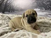 processed/e42e2817-1d5c-4bc9-b6e3-f4277654427c/listing/939214db-00ba-47b0-8036-2edd89048e40/11a4acff-6fdf-44e8-bb57-bf21e592b1a0