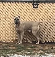 processed/e42e2817-1d5c-4bc9-b6e3-f4277654427c/listing/939214db-00ba-47b0-8036-2edd89048e40/1c747cab-56f8-4418-9470-6e24cdbbb4be