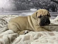 processed/e42e2817-1d5c-4bc9-b6e3-f4277654427c/listing/939214db-00ba-47b0-8036-2edd89048e40/889a4577-0c43-431a-9a34-ac6b9e086851