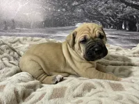 processed/e42e2817-1d5c-4bc9-b6e3-f4277654427c/listing/939214db-00ba-47b0-8036-2edd89048e40/928b2f7c-6f57-4c5c-a0dd-27f99af4ec85