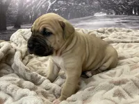 processed/e42e2817-1d5c-4bc9-b6e3-f4277654427c/listing/939214db-00ba-47b0-8036-2edd89048e40/b6004c66-7c47-4612-b837-316749e06878