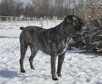 processed/e42e2817-1d5c-4bc9-b6e3-f4277654427c/listing/c35b796d-5c43-45bc-bad0-c68f7bcd0d5b/66e9b37f-7ebf-451b-bb92-e4cd196af432