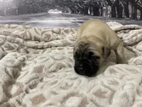 processed/e42e2817-1d5c-4bc9-b6e3-f4277654427c/listing/c35b796d-5c43-45bc-bad0-c68f7bcd0d5b/c2018bc1-d1ca-4dad-a932-cda53eaf3070