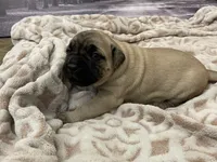 processed/e42e2817-1d5c-4bc9-b6e3-f4277654427c/listing/c35b796d-5c43-45bc-bad0-c68f7bcd0d5b/e91a85ef-9348-4b3a-a31c-e22edb07fb59