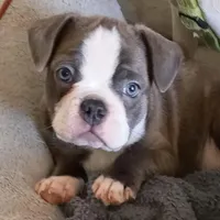 processed/e435c2bd-6e4f-4b0e-a3c4-fad76c76bd9a/facility/00173cb9-e39b-41c7-b0c2-2a9c62e215e7