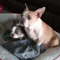 processed/e435c2bd-6e4f-4b0e-a3c4-fad76c76bd9a/facility/2d055f6b-cd92-4446-bed1-434334022e99