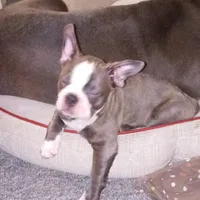 processed/e435c2bd-6e4f-4b0e-a3c4-fad76c76bd9a/facility/479eeef5-2493-4ec9-9f36-f559c7e73d54