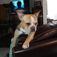 processed/e435c2bd-6e4f-4b0e-a3c4-fad76c76bd9a/facility/5882cfff-832e-495a-af37-152f61c28a24