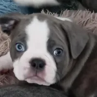 processed/e435c2bd-6e4f-4b0e-a3c4-fad76c76bd9a/facility/690be736-6d71-47fe-be6b-4d725f6f73ee