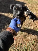 processed/e446795a-8cbb-4594-8282-83bc6ae61d9b/listing/24b403f3-721b-4637-8199-0a90fd350056/168c6df4-a3a6-4d03-8366-2b78acaadd81