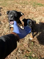 processed/e446795a-8cbb-4594-8282-83bc6ae61d9b/listing/24b403f3-721b-4637-8199-0a90fd350056/7d4e6a04-69d2-4843-83a0-b37dcbd62361