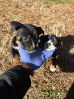 processed/e446795a-8cbb-4594-8282-83bc6ae61d9b/listing/24b403f3-721b-4637-8199-0a90fd350056/a1a34f79-3693-4686-a4af-b6b8cbd9fccb