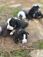 processed/e446795a-8cbb-4594-8282-83bc6ae61d9b/listing/96d1c19c-0e4d-40b6-a712-3e75e8a22b79/66540b68-ccec-49a7-83be-28a7cd3b7c96