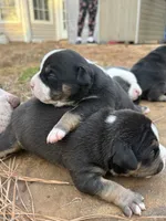 processed/e446795a-8cbb-4594-8282-83bc6ae61d9b/listing/96d1c19c-0e4d-40b6-a712-3e75e8a22b79/81ae1dd8-a804-4f11-b149-5a3e7ba34698