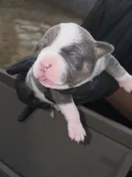 processed/e446795a-8cbb-4594-8282-83bc6ae61d9b/listing/c02ecbdd-fbbc-4db4-8d7e-2c389d6068d1/ccfdd15e-1169-48e5-bd32-1b360cc2083e