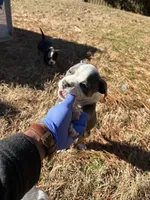 processed/e446795a-8cbb-4594-8282-83bc6ae61d9b/listing/c02ecbdd-fbbc-4db4-8d7e-2c389d6068d1/fc7c3c24-f672-4dc9-b480-0710f0c73775