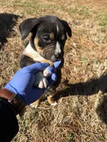 processed/e446795a-8cbb-4594-8282-83bc6ae61d9b/listing/d89f3daf-06f6-45e0-b8f4-523aae4b1847/76dbe7c7-aa25-4113-8aa0-5a49d2647a5f