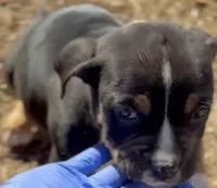 processed/e446795a-8cbb-4594-8282-83bc6ae61d9b/listing/d89f3daf-06f6-45e0-b8f4-523aae4b1847/d70ac067-5ad5-4cc3-b4fe-123af5bc0b6a