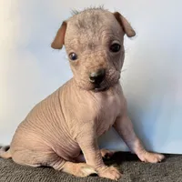 processed/e4467be0-b332-4a90-911d-3787f87a9615/facility/115d6932-8cdb-4cac-b583-1829ec1424d4