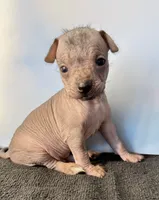 processed/e4467be0-b332-4a90-911d-3787f87a9615/facility/115d6932-8cdb-4cac-b583-1829ec1424d4