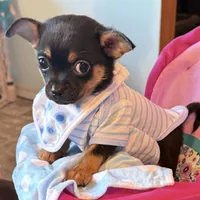 processed/e4467be0-b332-4a90-911d-3787f87a9615/facility/2900aa66-b172-4ccc-9c62-81c794a7424a