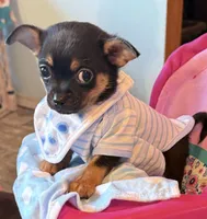 processed/e4467be0-b332-4a90-911d-3787f87a9615/facility/2900aa66-b172-4ccc-9c62-81c794a7424a