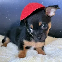 processed/e4467be0-b332-4a90-911d-3787f87a9615/facility/74902e15-6259-441d-8d42-7153c77f65d3