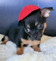 processed/e4467be0-b332-4a90-911d-3787f87a9615/facility/74902e15-6259-441d-8d42-7153c77f65d3