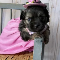 processed/e4467be0-b332-4a90-911d-3787f87a9615/facility/a937c071-acf9-4745-850e-14311be1f8b8