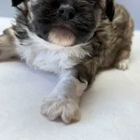 processed/e4467be0-b332-4a90-911d-3787f87a9615/facility/a959881f-48d8-453a-85ac-5b8acb5edb5f