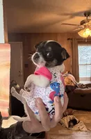 processed/e4467be0-b332-4a90-911d-3787f87a9615/listing/bf4ceb60-99e9-4a4a-8efb-2b89968b9fd5/0ef4dc56-5e10-4d85-8697-feda7445deaf