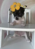 processed/e4467be0-b332-4a90-911d-3787f87a9615/listing/bf4ceb60-99e9-4a4a-8efb-2b89968b9fd5/336bffa4-074d-45a0-afa3-e593f0555fa2