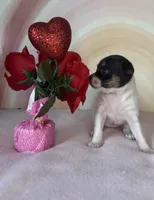 processed/e4467be0-b332-4a90-911d-3787f87a9615/listing/bf4ceb60-99e9-4a4a-8efb-2b89968b9fd5/984fc15a-a15f-4749-894e-6e88d7106acd