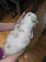 processed/e44af2b3-a45e-491e-9e73-80b057244da6/listing/27a40eb2-ce24-4531-a88a-10b2891fe040/651c64c1-5ea9-4677-8066-0792cbf6c9b5