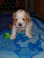 processed/e44af2b3-a45e-491e-9e73-80b057244da6/listing/27a40eb2-ce24-4531-a88a-10b2891fe040/8b2d1472-2e2e-472d-995f-90fd994fd7f1