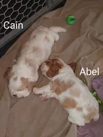 processed/e44af2b3-a45e-491e-9e73-80b057244da6/listing/27a40eb2-ce24-4531-a88a-10b2891fe040/a4b70bed-ff0f-42a9-8ffd-4b426d1bf173