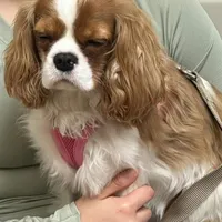 processed/e44ec08a-0915-4885-bc2e-9947739e0490/facility/16069aff-c01f-46a8-a45a-4531c5f4631f